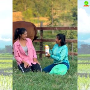 เสริมสร้างภูมิคุ้มกันให้สัตว์ เพิ่มอัตราการแลกเนื้อ ฟาสท์ริช168 ฟาสท์ไคโตซานฝาสีเหลือง 1 ขวด สินค้าพร้อมจัดส่งใน 1 วัน สินค้าจัดส่งจากบริษัทของแท้100%