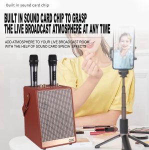 QIXI SK-2050 Shocking Bass Sound KARAOKE Wireless Bluetooth Leather Type Speaker with Two Wireless Microphone