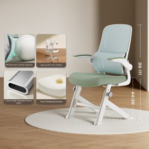 Hbada | Ergonomic Study Chair for Students