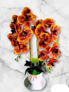 Artificial New Colour Latex Orchid with Potted
