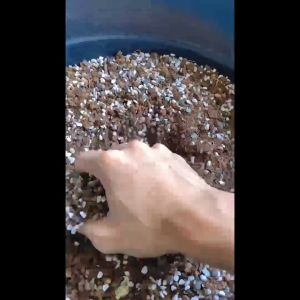 READY TO USE SUCCULENT Potting Mix/Cactus Succulent Mix Soil
