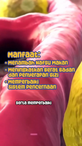 BeeNatura Herbal | Madu Penggemuk Badan Alami Solusi Anak Susah Makan Nafsu Makan Naik & Gemuk Alami