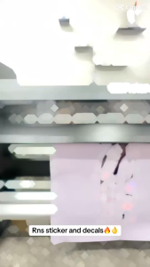 Raider Fi 150 Sticker Decals - High Quality