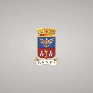 2019 Castello Banfi San Angelo Pinot Grigio – Toscana IGT Italy – Crisp Tuscan Take on a Classic White – White Wine