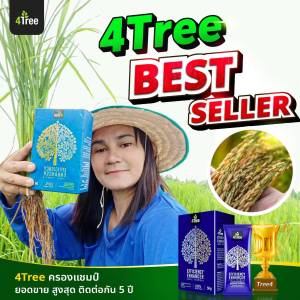 คู่เกษตร สุดคุ้มพลัง 3 ซอง เซตประหยัด 1500 บาท สุดคุ้ม  นวัตกรรมเพิ่มประสิทธิภาพ เพื่อพืชพรรณทุกชนิด โฟร์ทีกับข้าว โฟร์ทรีมันสำปะหลัง โฟทีร  ดูดซึมไว ของแท้ 100 % เก็บปลายทาง เร่งราก กระชากรวง โฟทีร ของแท้ เก็บปลายทาง