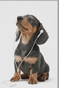 Oil Painting By Number Cute Dog Listening To Music Number Drawing Canvas Pictures By Numbers Home Decor Large Size Frameless