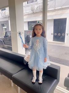 Gaun Putri Elsa Lengan Panjang untuk Anak Perempuan 3-8 Tahun Musim Gugur Lucu Mesh