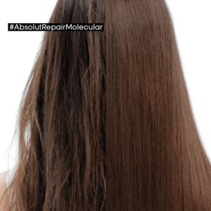 Dầu Gội phục hồi Peptides chuyên nghiệp cho tóc hư tổn LOréal Professionnel Absolut Repair Molecular 500ml