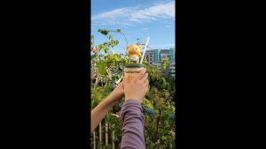 แก้วน้องเนยดุ๊ butterbear แก้วน้ำร่วมแบรนด์ Butter Bear 500ml แก้วน้ำลายการ์ตูนสุดน่ารัก