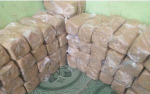 2 kg tanah liat/tanah lempung untuk prakarya anak sekolahan