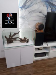 COMBO BỘ BỂ KÍNH VIỆT NHẬT 844 VÀ CHÂN BỂ ĐÈN MÁNG LED 3 CHẾ ĐỘ VÀ LỌC CÀI HBL 803.