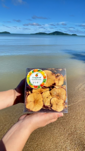 แอปเปิ้ลอบแห้งธรรมชาติ 90 ชิ้น | Dried Apple | ไร้น้ำตาล สำหรับตกแต่งและทานเล่น ส่งไว 1–3 วัน