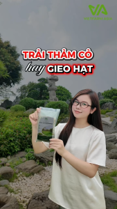 Combo 1Kg Hạt Giống Cỏ Cảnh Quan RYEGRASS Cao Cấp - Tỉ Lệ Nảy Mầm Cao - Dễ Trồng & Chống Xói Mòn - Phù Hợp Sân Vườn & Biệt Thự