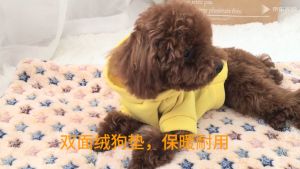 เบาะรองนอน นุ่ม สบาย 2 ฝั่ง เบาะสัตว์เลี้ยง เบาะนุ่มแมว สุนัข นอน 2 ฝั่ง รองเท้า ที่นอนแมว ที่นอนสุนัข สำหรับผู้ชาย ผู้ชาย เบาะสัตว์เลี้ยง เบาะเสริม เพื่อใช้กับน้ำมัน