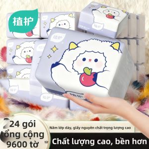 Botare | Practical and Economical Small Pack Tissue Paper Whole Box
