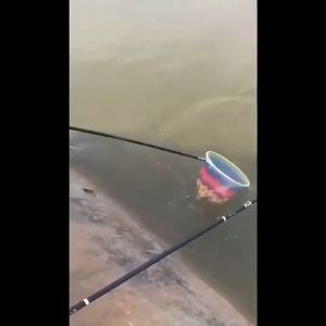 UMPAN GALATAMA JITU IKAN MAS NILA BAWALLELE PATIN BAUNG 75 gr