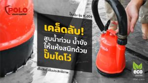 POLO ปั๊มจุ่ม 100 วัตต์ แรงดันไฟ 220 โวลต์ รุ่น K-101