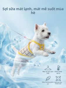 hipidog | Áo Giáp Làm Mát Cho Chó Nhỏ
