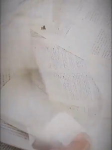 SKISOPGO 13 Grid A4 File Folder Expanding File Organ Bag School Office Paper Document Organizer with Index