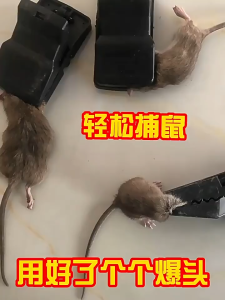 กับดักหนู แบบสปริง เหยื่อดักหนู ไม่ใช้สารเคมีและไม่ต้องสัมผัสโดนตัวหนู วัสดุพลาสติก สามารถใช้ซ้ำได้