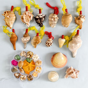 Natural Large Sea Snail Horn Whistle Childrens Toy Small Horn Can Blow Sound Creative Home Decor Shell And Coral Products
