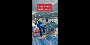 มูลครู มูลครู ผ้าแยงเขียว ขนาด 6ม. X 30หลา (25ม.) ตา16 ตราเรือใบ (ผ้าไทย) หนา ทนทาน ไม่กรอบ เหมาะตากข้าว กันแมลง