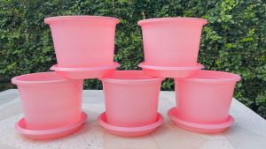 กระถางสีชมพู 6 นิ้ว พร้อมจานรองสีชมพู แพ็คละ 5 ชุด สินค้าพร้อมส่ง