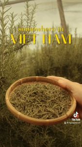 MycoGREEN Trà Thảo Mộc Hương Thảo PP trồng Hữu Cơ