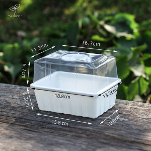 Rectangular Succulent Plastic Basin Lithops Seeding Leaf Insertion Seedling Tray Planting Basket Cutting Nursery Basin Meat Cone Butt Basin