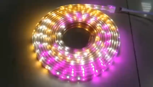 Lampu LED Strip RGB Selang 8m 3528 2835 + Adaptor 8 Meter 220v Dekorasi Natal
