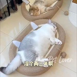 【Mi Pet Lover】Oval Sisal Cat Scratcher Bed Cute Cat Scratching Board