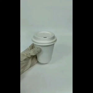 Biodegradable Bagasse 8oz & 12oz CUP / Bio Cold Cup / Sugarcance Cup