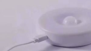 LED Motion Censor Detector Night Light Rechargeable USB