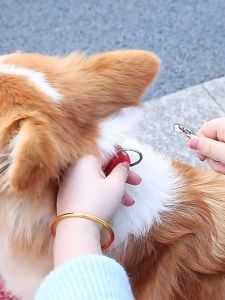Dây dắt Chó Mèo tự động thu vào (tệp giấy) - Love pets shop