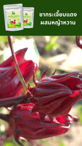 ชากระเจี๊ยบแดงผสมหญ้าหวาน ตราไร่กฤติยา - บำรุงเลือด ช่วยลดคอเลสเตอรอล