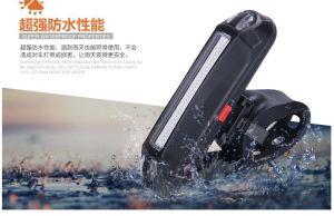 Đèn hậu nháy sau xe đạp nháy 2 màu xanh + đỏ sạc usb