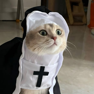 Cat Nun Cosplay Costume Funny Halloween Cat Clothing For Small Medium Cats Dogs Cute Kitten Pullover Sphynx Pet Jacket Outfits