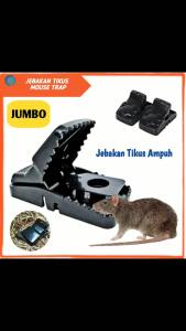 PERANGKAP TIKUS MOUSE TRAP Jebakan Jepit Tikus Ampuh Kuat Alat Pembasni Penangkap Tikus