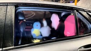 100ml Anti-Fog Car Glass Oil Film Remover: A Comprehensive Guide