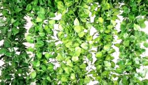 2.4m Artificial Begonia Leaves Watermelon Leaf Grape Lvy Leaf Green Leaves/ Fake Tree Leaf/ Garland Green Plant Plastic Vine Fake Foliage/ Home Wedding Garden Rattan String Wall Decor