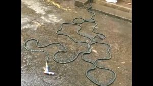 Expandable Garden Hose Pipe Flexible Water Hose Magic Hose Watering Hose Car Washing Hose