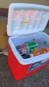 Ecoplanet COD30L Orocan Ice Box Chest Insulated Cooler 15-Liters