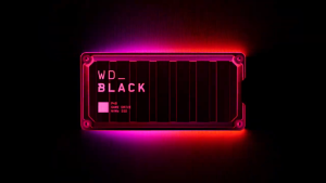 <Authorised Reseller> Western Digital WD Black P40 1TB 2TB Black Game Drive SSD Portable External Hard Drive