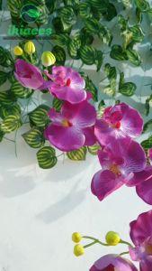 Bunga Anggrek Plastik & Tanaman Artifisial: Dekorasi Interior yang Cantik