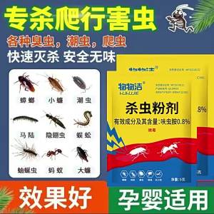 [ WuWuJie Cockroach Insecticide Powder ] Cockroach Bait Indoor Bedroom Kitchen Insecticide Ant Bait Household Cockroach Killer Bait