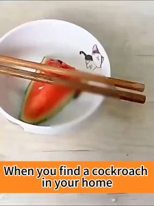 No Cockroach for 100 years Cockroach Killer Powerful cockroach repellent bait Upgraded cockroach Killer Trap Long Acting Cockroach Gel Bait  Cockroach Repellent for home Safe and Non-toxic to people and pets