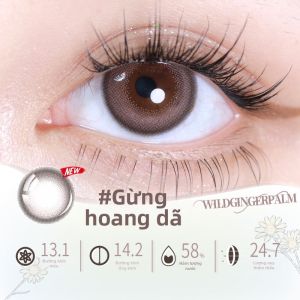 Pegavision | Mắt Kính Hấp Dán Màu Tự Nhiên Đường Kính Nhỏ Đeo Hàng Ngày 10 Cái