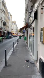 Ecopots Sankara 40 Dark Grey