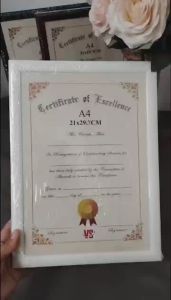 [VS] CERTIFICATE FRAME PHOTO PLASTIC FRAME  A4  (YY13-A4/YY04-A4)