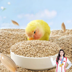 DIJIE | Parrot Food for Various Birds White-tip Canaries